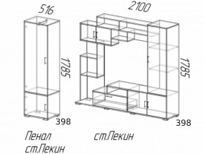 Гостиная Пекин с пеналом Ясень Шимо в Кунгуре - kungur.magazinmebel.ru | фото - изображение 2