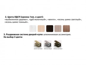 Шкаф-купе Акцент-Сим Д 1000-600 шимо тёмный в Кунгуре - kungur.magazinmebel.ru | фото - изображение 3